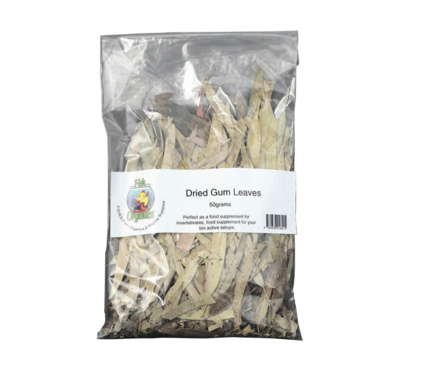 Dried Gum Leaves